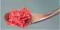 Preview: NanoBone® Granulat grob 1 x 1,2 ml