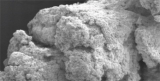 NanoBone® Granulat grob 1 x 1,2 ml