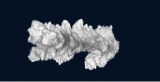 NanoBone® Granulat grob 1 x 1,2 ml