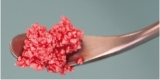 NanoBone® Granulat grob 1 x 1,2 ml
