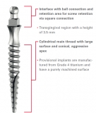 Preview: MINI INTER Implantat Länge 13mm (2 Stück)