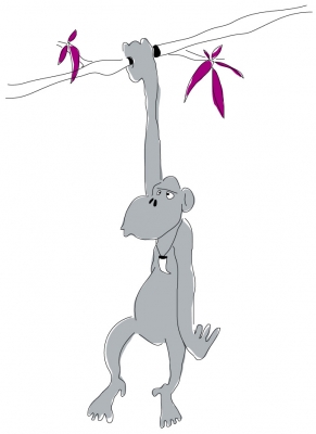 MINI Zwei Implantat Länge 15mm