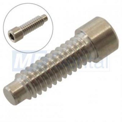 Halteschraube für Abutments